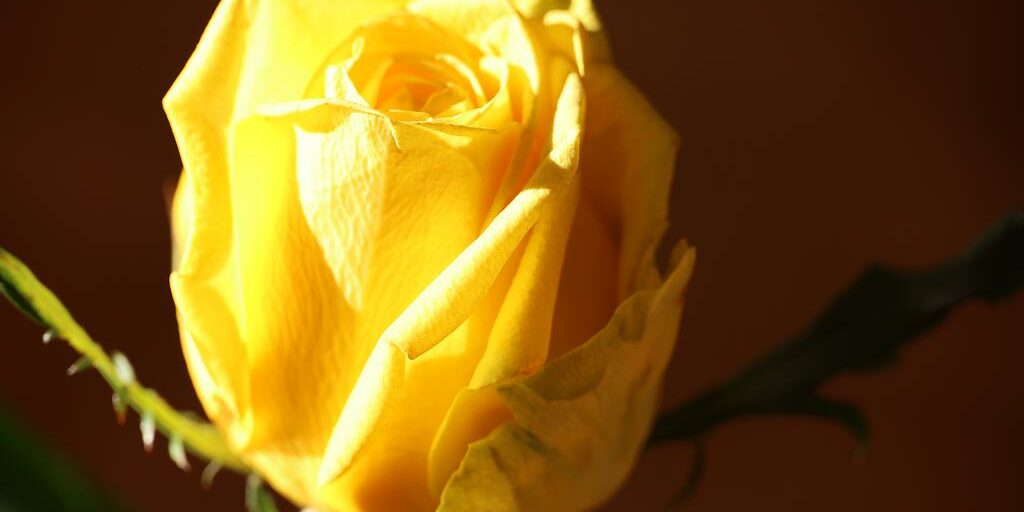 Bild: Beatrice Svoboda